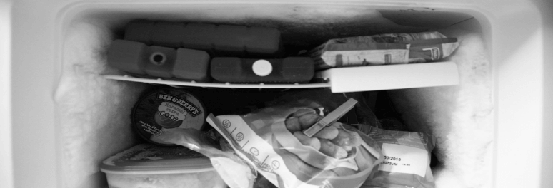 Food inside the freezer